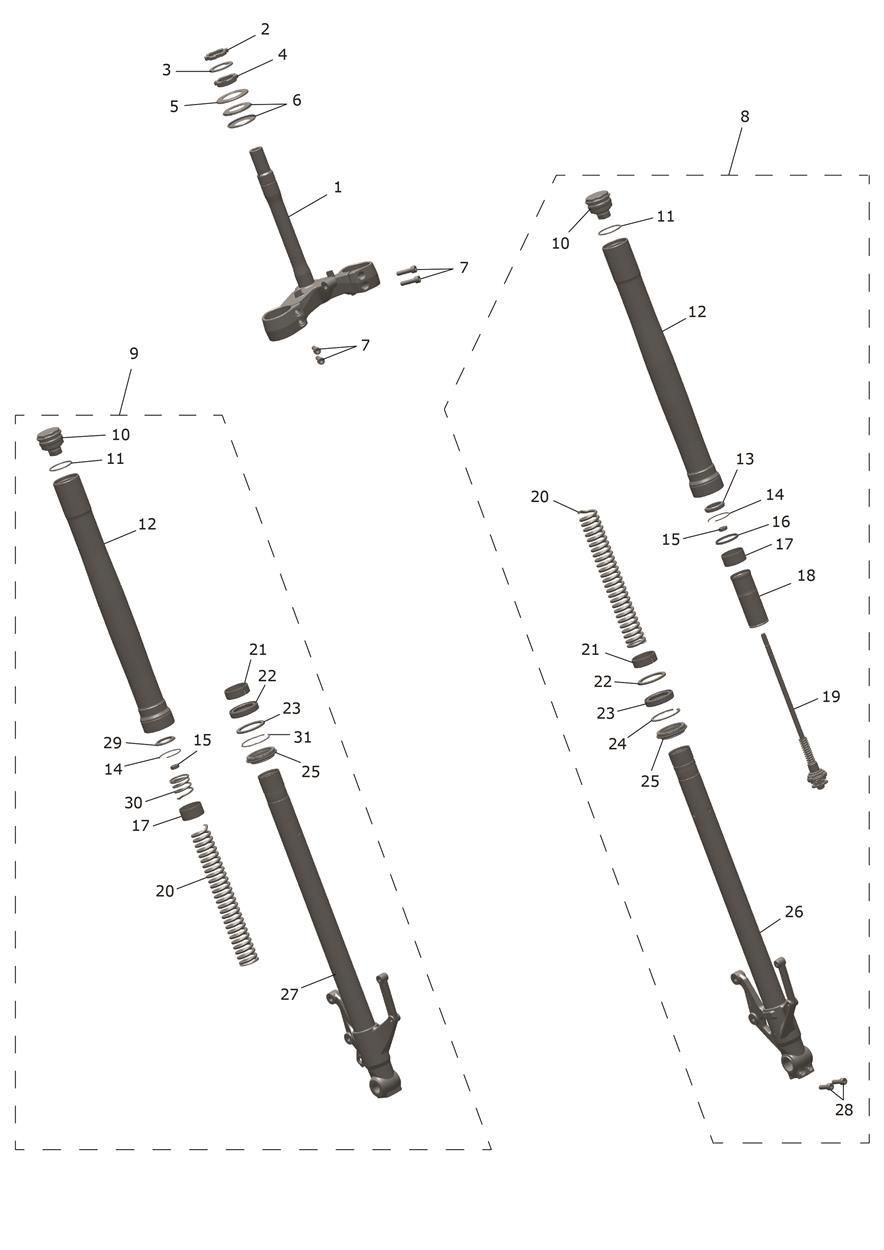 FOURCHE AVANT ET TE INFERIEUR POUR TRIDENT 2025