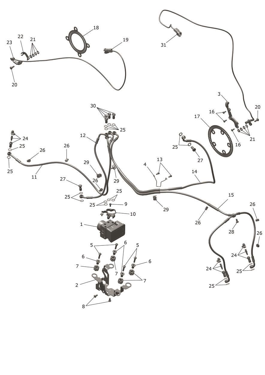 ABS POUR TIGER SPORT 800 2025