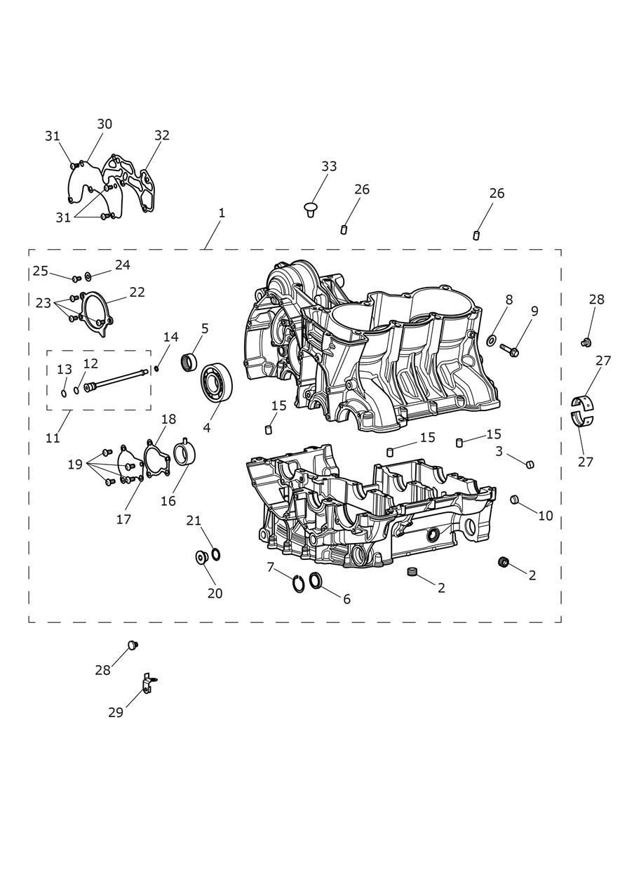 CARTER ET FIXATIONS POUR TIGER 1200 ALPINE EDITION 2020