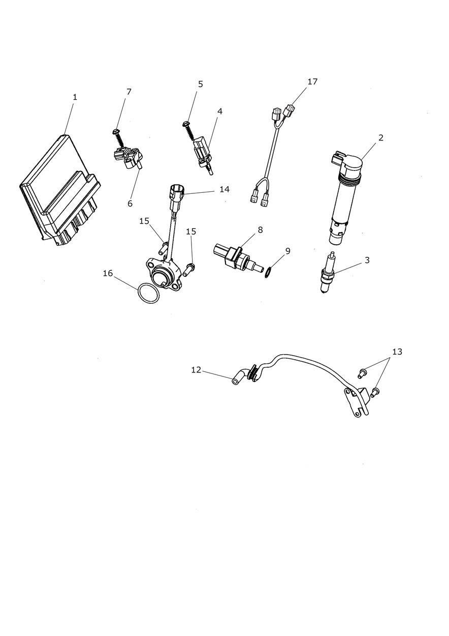 SYSTEME DE GESTION DU MOTEUR POUR TROPHY SE A1 2013