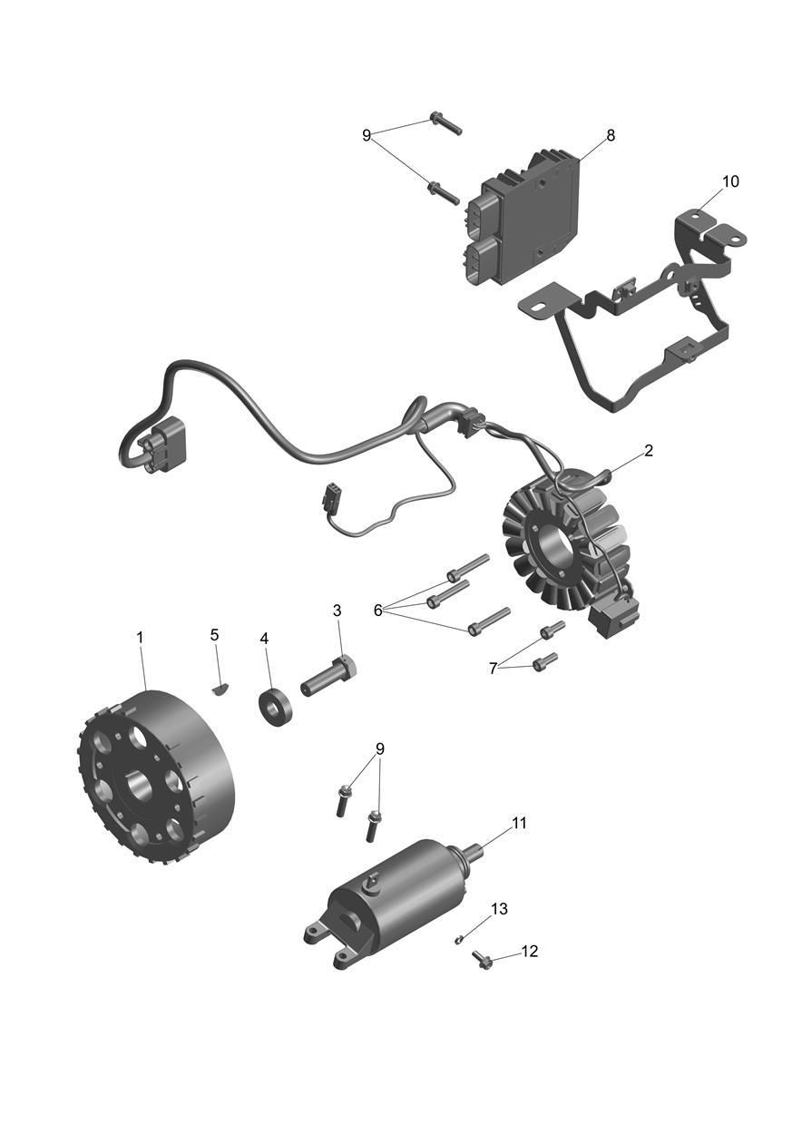 ALTERNATEUR ET DEMARREUR POUR TIGER SPORT 800 2025